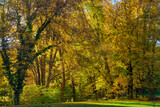 Fototapeta Krajobraz - Schacky Park in Dießen am Ammersee, Bayern, Deutschland