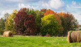 Fototapeta Na ścianę - Multicolor trees in Autumn season and green field with straw bales