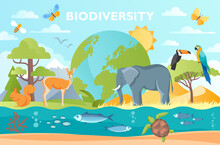Biodiversity As Natural Wildlife Species Or Fauna Protection Abstract Concept. Ecosystem Climate Difference, Vegetation And Habitat Saving Vector Illustration. Ecology And Endangered Bio Life.