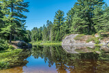 Fototapeta Łazienka - Forest lake