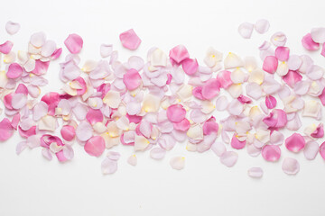 Wall Mural - Pink rose flowers petals on white background. Flat lay, top view, copy space.