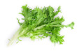 Fresh green leaves of endive frisee chicory salad isolated on white background with clipping path and full depth of field. Top view. Flat lay