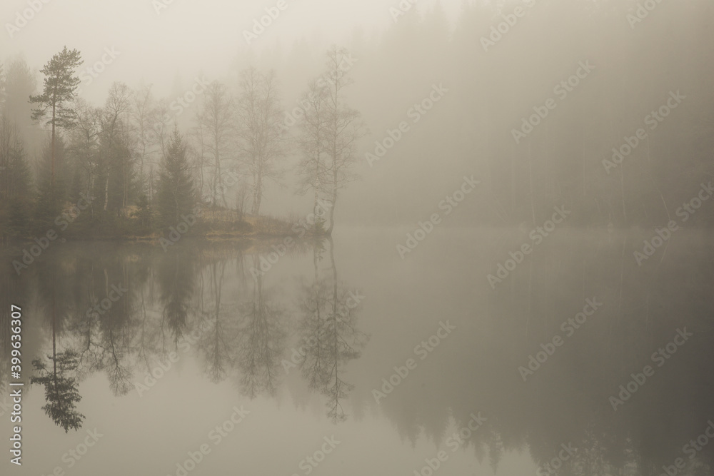 Misty morning by the forest lake. Trees and surroundings are reflected on the water surface. - obrazy, fototapety, plakaty 