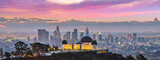 Fototapeta  - Los Angeles skyline