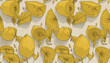 Cytryny pattern tapeta owoce żółte