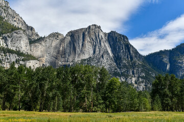 Sticker - Yosemite Valley - Yosemite National Park