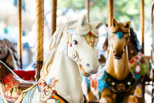 Vintage French Carousel Horse Closeup In Fair Park. Merry-go-round Horses In Amusement Fun Park For Children. Flying Toy Wooden Animals In Entertainment Park