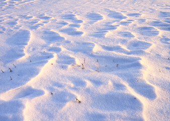 Waves in the snow. Winter snowdrifts in the field illuminated by evening light, snow crystals, remnants of dry grass