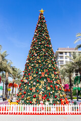 large christmas tree in dubai, town square park, 2020, amont green palm trees in tropical climate.