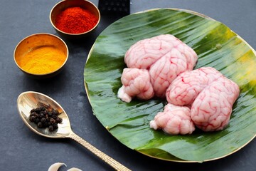 Wall Mural - Uncooked Goat brain or Bheja or Mutton Brain.Perfect to cook bheja fry or bheja masala. Indian cooking ingredients. Copy space.