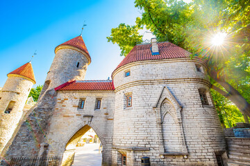 Wall Mural - Viru Gates in Tallinn old town, Estonia