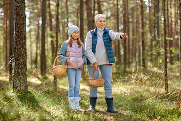 Canvas Print - season, leisure and people concept - grandmother and granddaughter with baskets picking mushrooms in forest