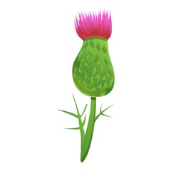 Poster - Thistle blossom flower icon. Cartoon of thistle blossom flower vector icon for web design isolated on white background