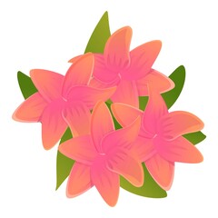 Poster - Branch plumeria icon. Cartoon of branch plumeria vector icon for web design isolated on white background