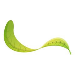 Poster - Plumeria long leaf icon. Cartoon of plumeria long leaf vector icon for web design isolated on white background