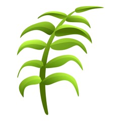 Poster - Garden hibiscus long leaf icon. Cartoon of garden hibiscus long leaf vector icon for web design isolated on white background