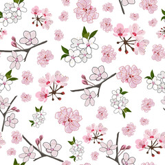 Wall Mural - Elegant Cherry blossom seamless pattern