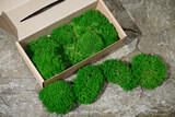 Fototapeta Dziecięca - green grass with heart shape. Iceland thick sterilized moss for decoration