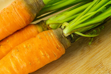 appetizing fresh carrots orange root vegetables with green tops