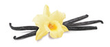 Fototapeta Kwiaty - Vanilla flower, pods isolated on white background
