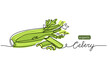 Celery sticks, stalks, green leaf vector sketch illustration for background, label design. One line drawing art illustration with lettering organic celery