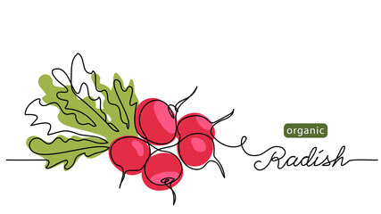 Red radish bundle, bunch. Vector illustration, label, background. One line drawing art illustration with lettering organic radish