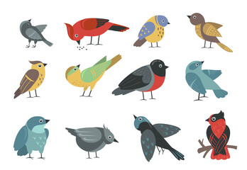 Wall Mural - Various colorful small birds set. Cute cartoon little sparrow, swallow, bullfinch, thrush, tit isolated on white. Vector illustration for wildlife, nature, animal concept