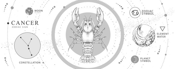 Wall Mural - modern magic witchcraft card with astrology cancer zodiac sign. realistic hand drawing crab illustra