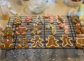 traditional christmas gingerbread cookies