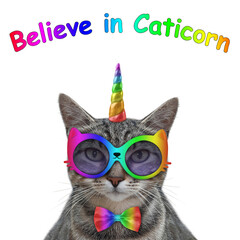 A gray cat unicorn in a bow tie and sunglasses. Believe in caticorn. White background. Isolated.