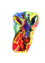 Watercolor Drawing Cute Colorful Giraffe
