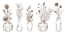 Set Of Hand Drawn Flowers In Vases.