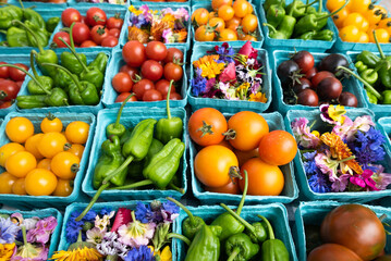 Wall Mural - Colorful fresh vegetables and edible flowers in rows in small green cartons at the farmers market 