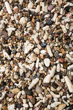 Rocks And Sea Shells.