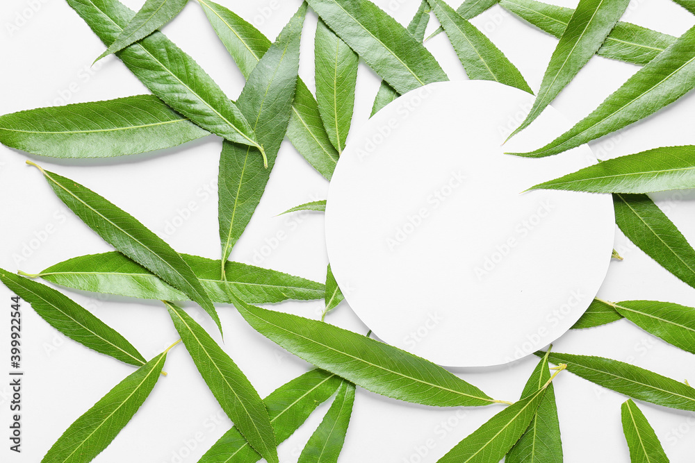 Fresh green leaves and blank card on white background