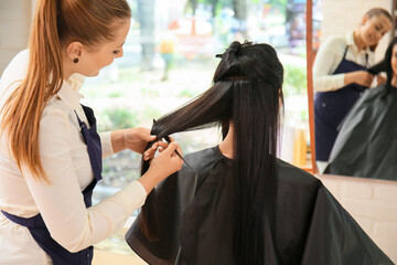 Wall Mural - Female hairdresser working with client in salon