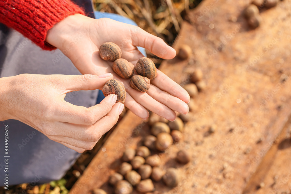 Worker at snail farm, closeup