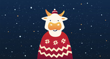 Cute Ox. Chinese New Year 2021. Wearing Sweater And Winter Hat. Bull Or Cow For Greeting Card Or Poster. Scandinavian Style.