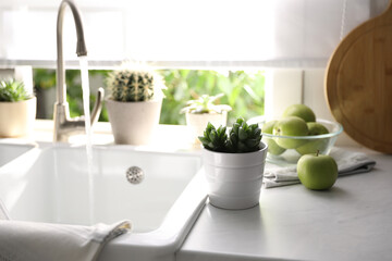 Sticker - Beautiful potted plants on countertop near window in kitchen