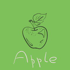 Wall Mural - Apple drawing vector, Simple hand drawn fruit with lettering Apple on green square background