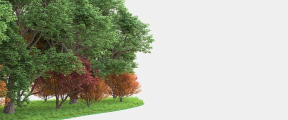 Forest isolated. Image useful for banners, posters or photo manipulations. 3d rendering. Illustration