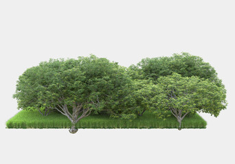 Forest isolated. Image useful for banners, posters or photo manipulations. 3d rendering. Illustration