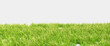 Banner grass field for composition isolated on background with mask. 3d rendering - illustration