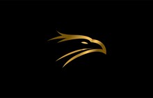 Golden Head Falcon Minimalistic Logo Design