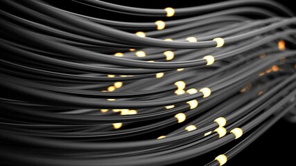 Poster - 3d rendering of abstract black internet cables with bright which signals move inside its. Seamless loop. Cloud computing and internet technology concept.