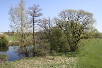 Wiesengrund Erlangen 2