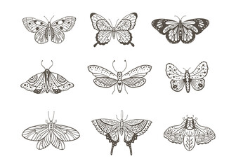 Wall Mural - boho vintage vector art design with bohemian butterfly. isolated insect icon set in simple style, ha