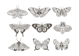 Wall Mural - boho vintage vector art design with bohemian butterfly. isolated insect icon set in simple style, ha