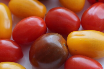 red and yellow tomatos