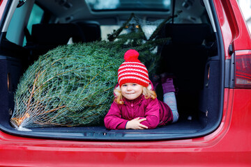 Adorable little toddler girl with Christmas tree inside of family car. Happy healthy baby child in winter fashion clothes choosing and buying big Xmas tree for traditional celebration.